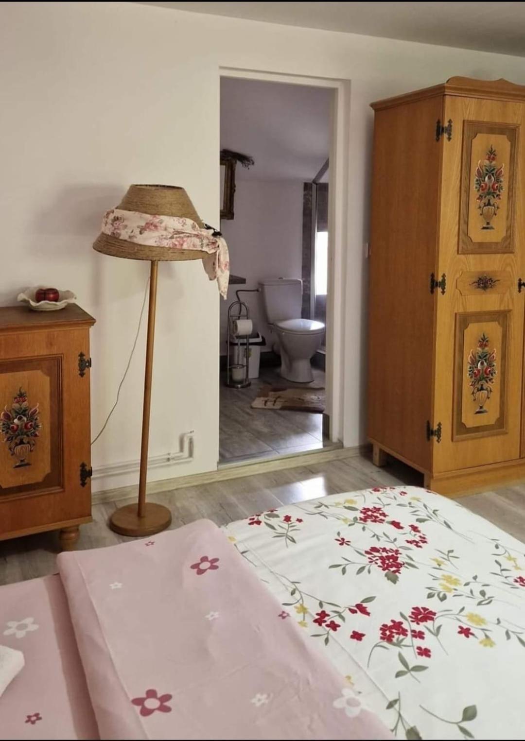 Pensiunea Casa Godja Văleni Esterno foto